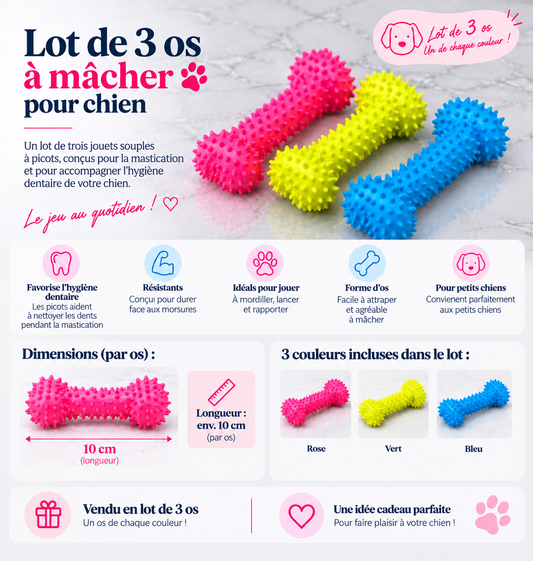 Lot jouets 3 os pour chiens